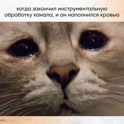 Мем
